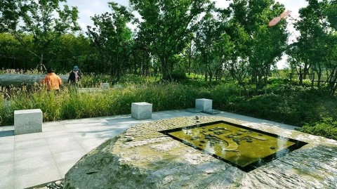 别再花几十万养“水景大爷”了：2026水景设计方案反常识避坑指南
